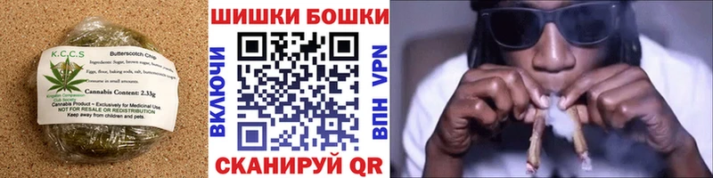 Купить закладки  Каменногорск  Canna-Cookies марихуана 