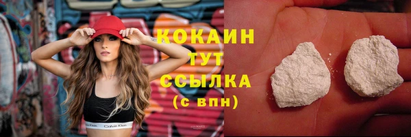 spice Ельня