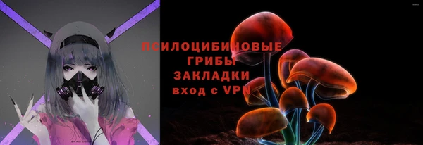 spice Ельня