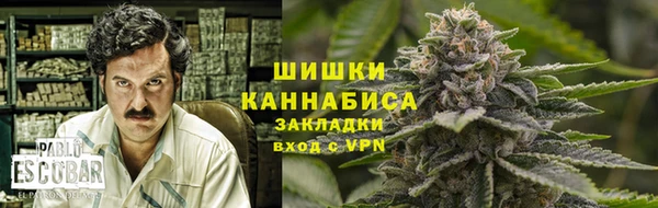 стафф Заволжье