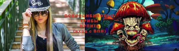 МДПВ Елизово