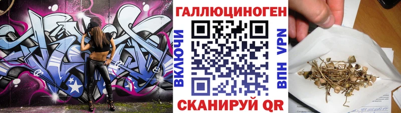 Купить  Каменногорск  Галлюциногенные грибы мицелий 